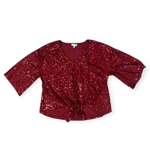 Share Women’s Red Sequin V-Neck Top XL Stretch Sparkly Holiday Party Evening Wea - Picture 3 of 8